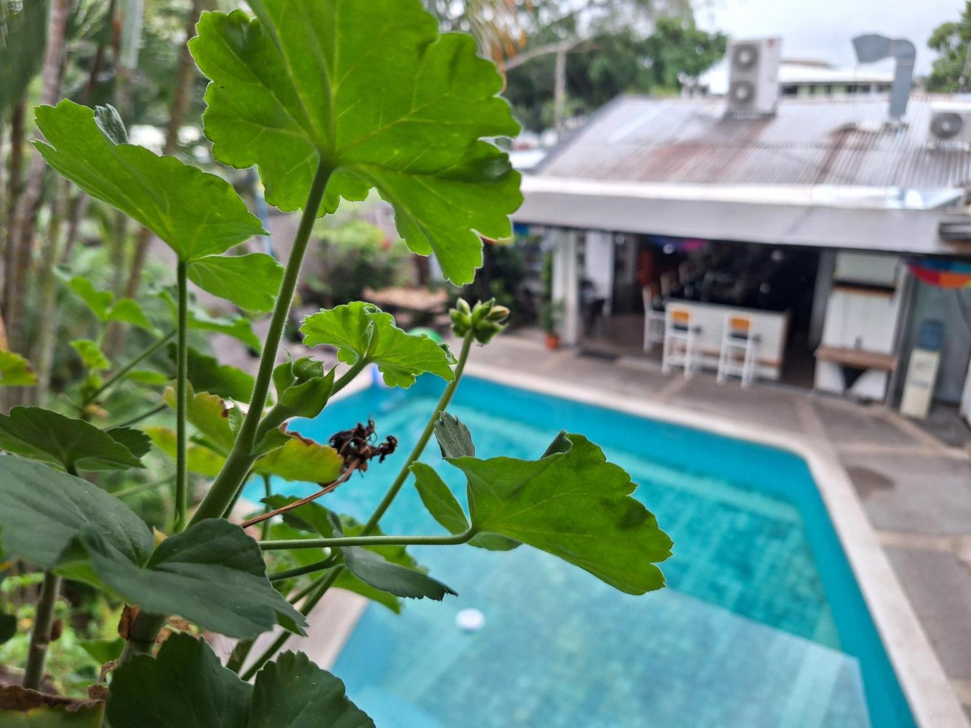 Colours Oasis Resort Adult Only サンホセ エクステリア 写真